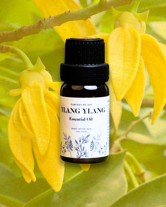 Ylang Ylang Essential Oil