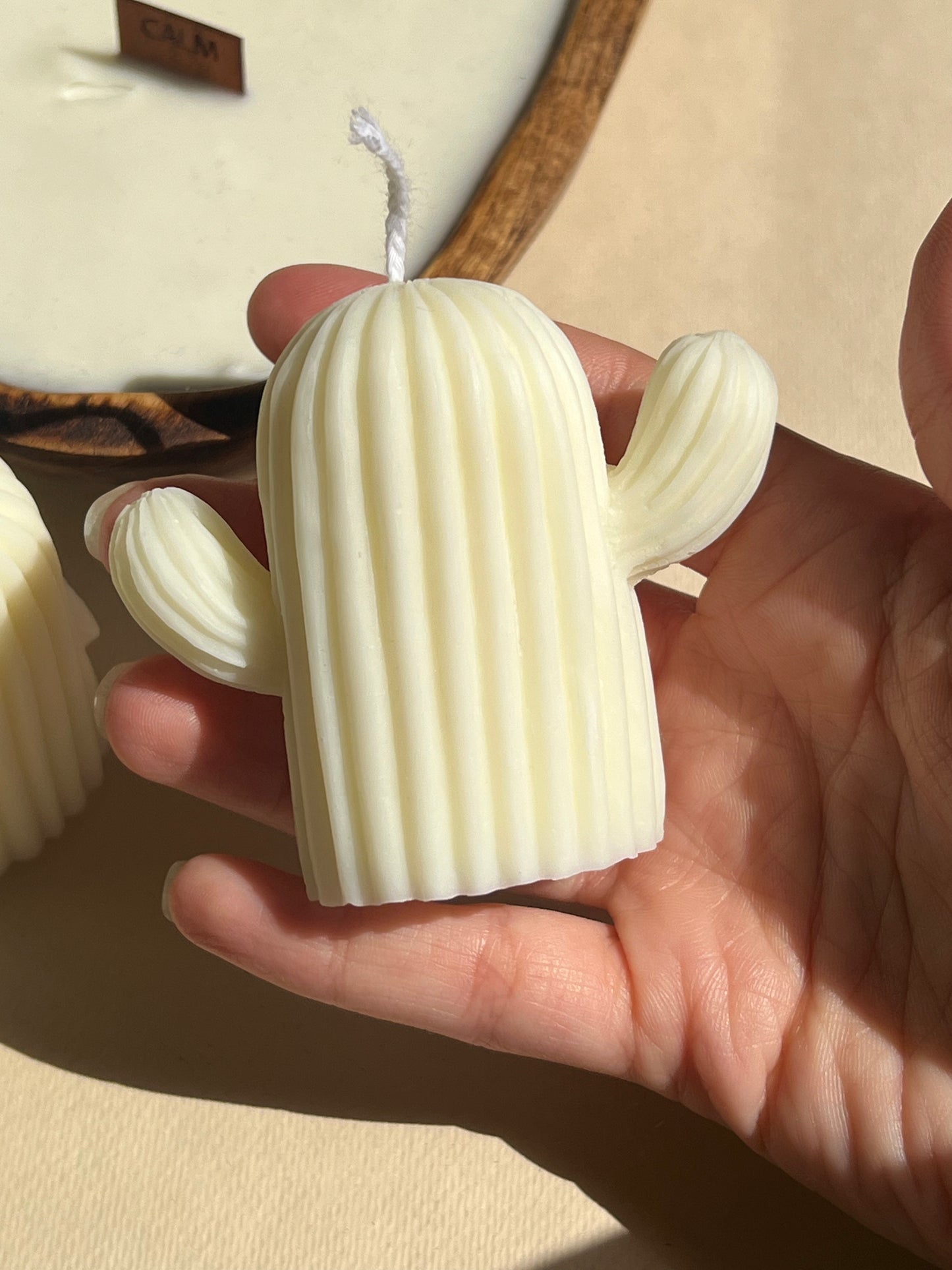 The Cactus Candle